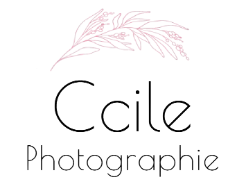 ccile logo